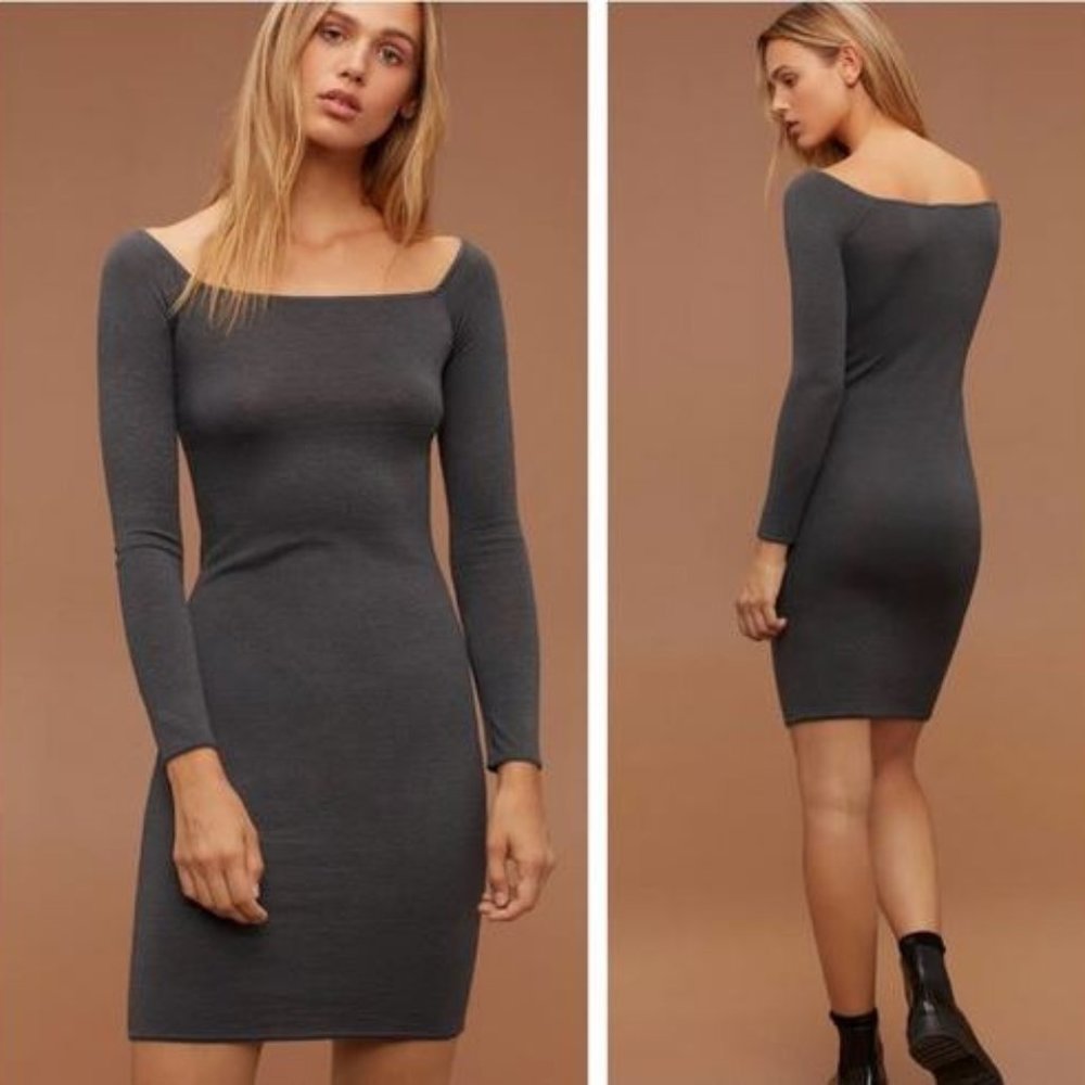 Aritzia Bodycon long sleeve Dress